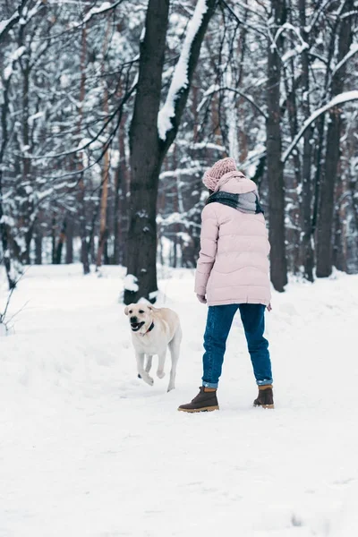 Vue arrière de la femme avec chien labrador dans le parc d'hiver — Photo de stock