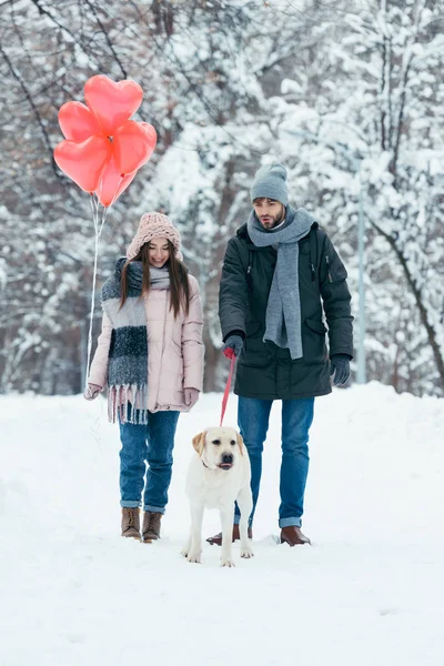 Junges Paar mit herzförmigen Luftballons und Hund spazieren im schneebedeckten Winterpark — Stockfoto