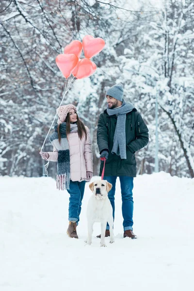 Pareja joven con globos en forma de corazón y perro paseando en el parque nevado de invierno - foto de stock