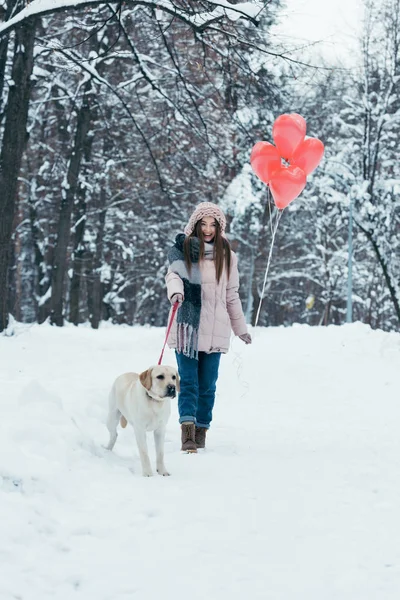 Feliz joven con perro con correa y globos en forma de corazón en las manos en el parque nevado - foto de stock