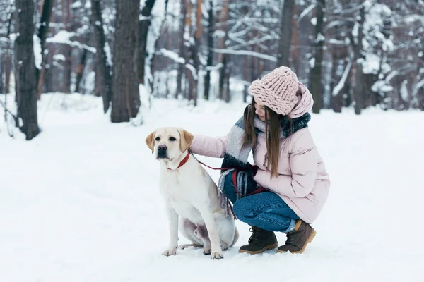 Young woman with labrador dog in winter park — Stock Photo