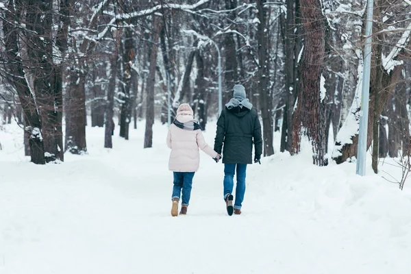 Visão traseira do casal de mãos dadas e caminhando no parque de inverno — Fotografia de Stock