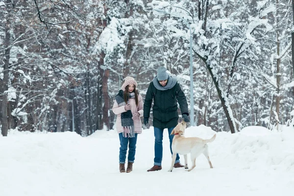 Pareja joven divirtiéndose junto con el perro en el parque de invierno - foto de stock