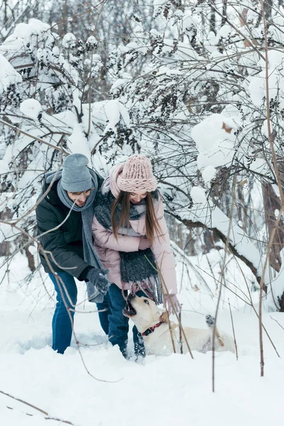 Jovem casal se divertindo junto com o cão no parque de inverno — Fotografia de Stock