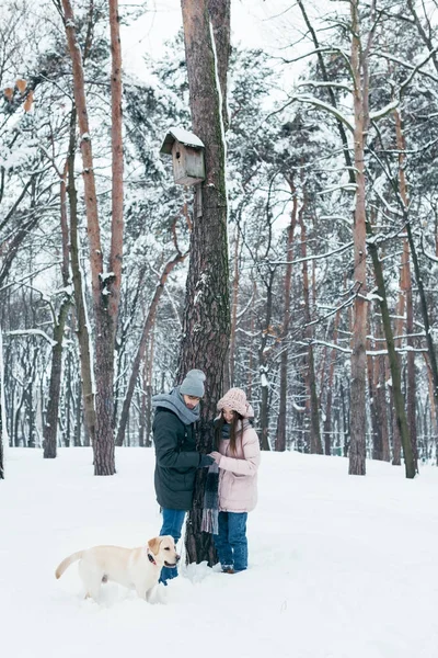 Jovem casal com cão andando no inverno parque nevado — Fotografia de Stock