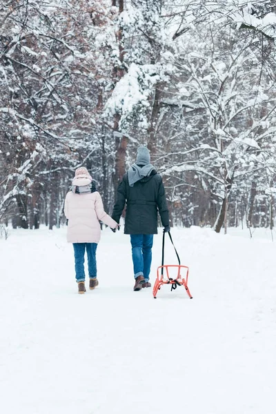 Back view of couple with sledge holding hands while walking in snowy park — Stock Photo