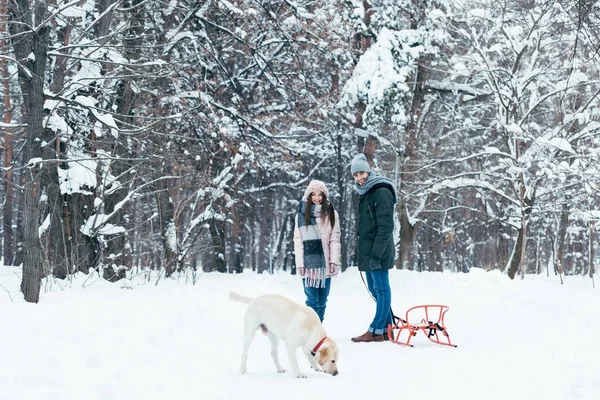 Pareja con trineo paseando en parque invernal junto con perro labrador - foto de stock