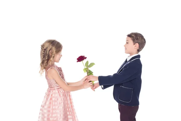 Vista lateral de adorables niños elegantes sosteniendo flor de rosa y mirándose aislados en blanco - foto de stock