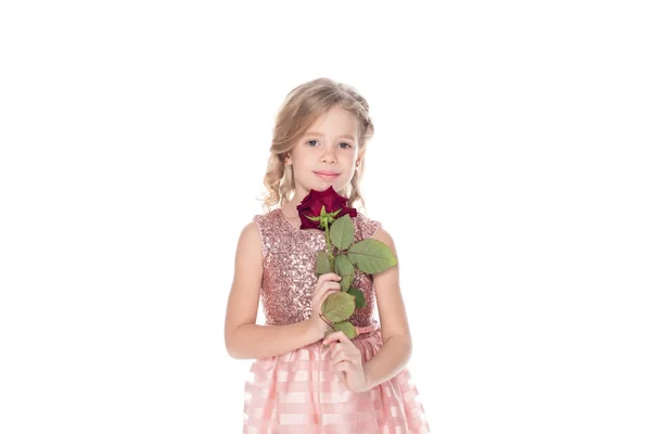 Beau petit enfant en robe rose tenant fleur rose rouge et regardant caméra isolé sur blanc — Photo de stock