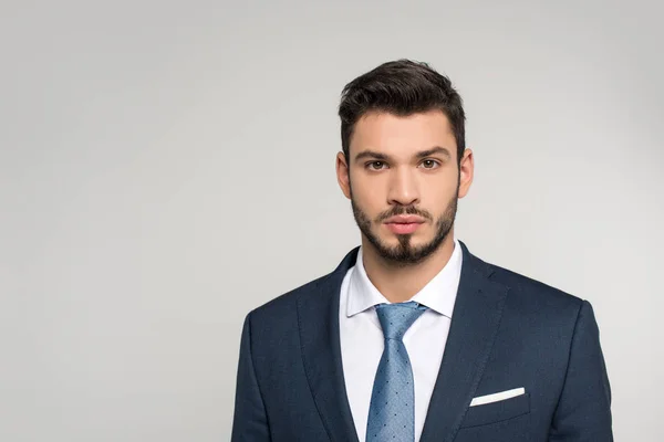 Retrato de joven hombre de negocios guapo mirando la cámara aislada en gris - foto de stock