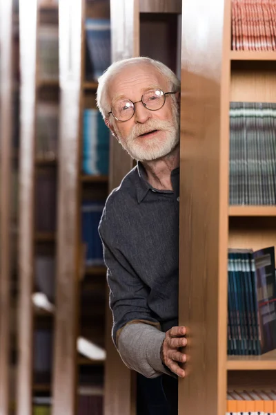 Happy grey hair librarian looking out from shelf — Stock Photo