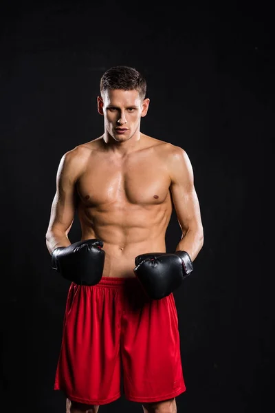 Junger muskulöser Boxer ohne Hemd, der isoliert auf schwarz in die Kamera blickt — Stockfoto