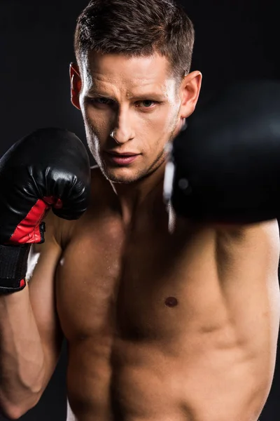 Close-up view of young shirtless sportsman in boxing gloves boxing isolated on black — Stock Photo