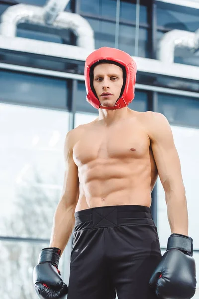 Vista a basso angolo del giovane pugile muscoloso senza maglietta che guarda la fotocamera in palestra — Foto stock