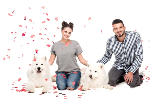 Couple sitting with dogs under falling confetti isolated on white, valentines day concept — Stock Photo