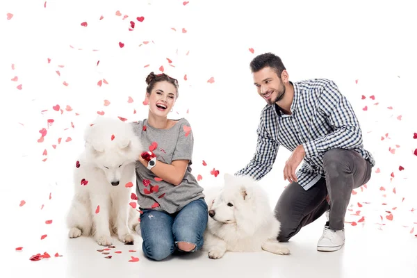Couple sitting with dogs under falling confetti on white, valentines day concept — Stock Photo