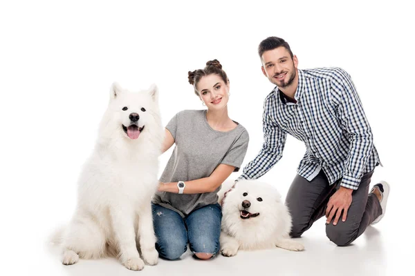 Счастливая пара сидит с собаками на белом — стоковое фото