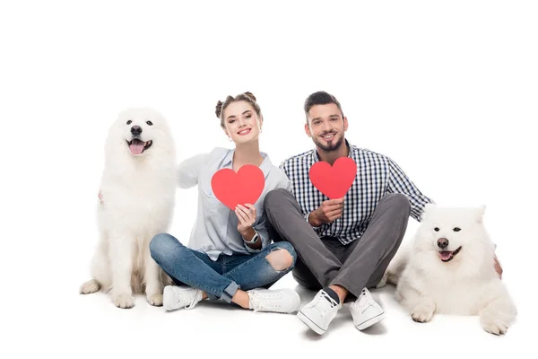 Couple heureux avec des chiens samoyed et des coeurs de papier sur blanc, concept de Saint-Valentin — Photo de stock