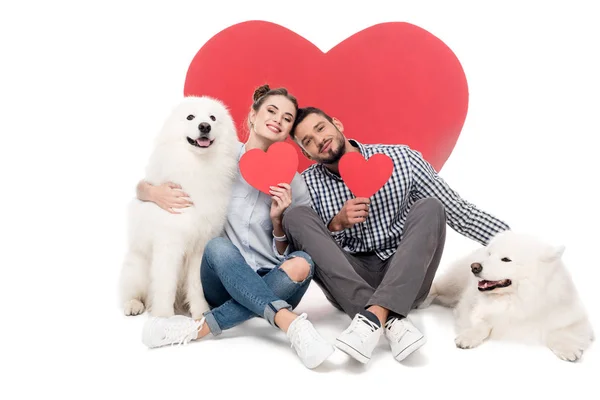 Happy couple with samoyed dogs and paper hearts on white, valentines day concept — Stock Photo