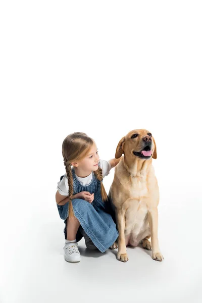Adorable niño sentado con golden retriever perro, aislado en blanco - foto de stock