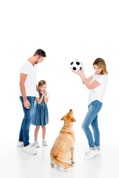 Família feliz e cão retriever dourado jogando com bola de futebol, isolado em branco — Fotografia de Stock