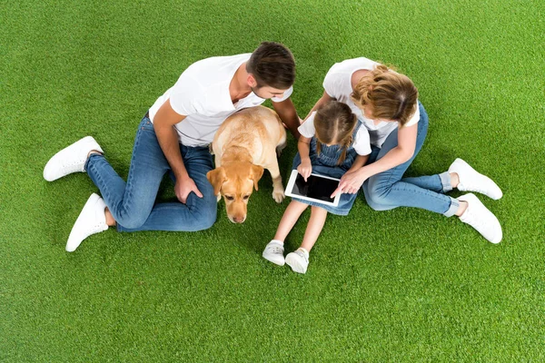 Vista aérea de la familia usando tableta digital mientras está sentado en la hierba verde - foto de stock