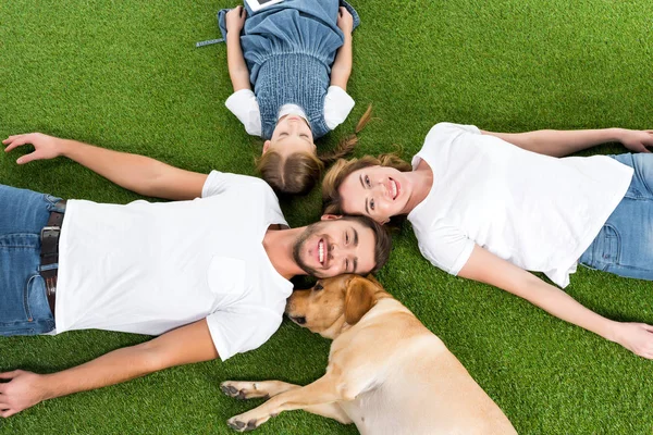 Overhead view of happy family with dog lying on green lawn together — Stock Photo
