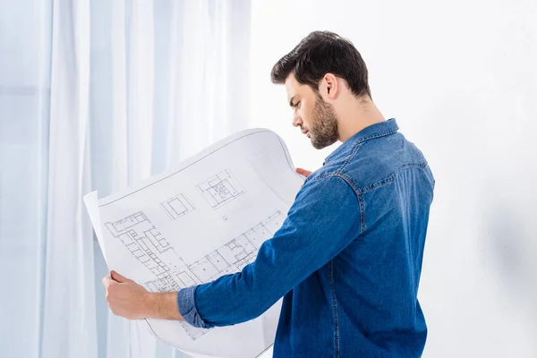 Handsome man looking at blueprint on white — Stock Photo