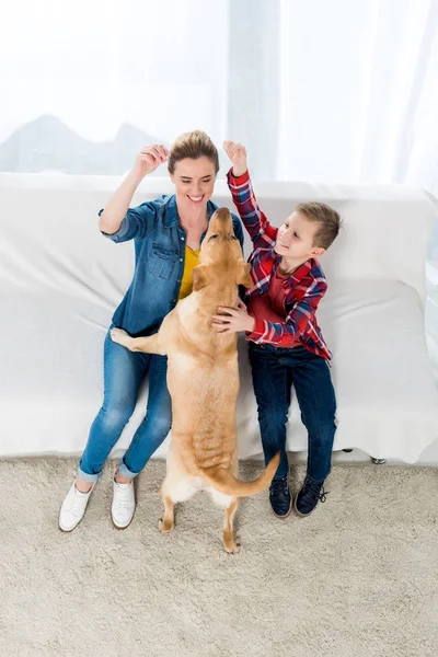 Високий кут зору мати і син годують свого собаку попкорном, коли він сидить на підлозі — стокове фото