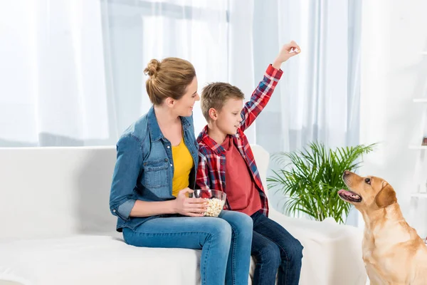 Madre e il suo piccolo figlio nutrire il loro cane con popcorn — Foto stock