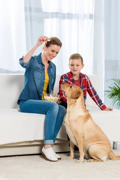 Glückliche Mutter und Sohn füttern ihren Hund mit Popcorn — Stockfoto