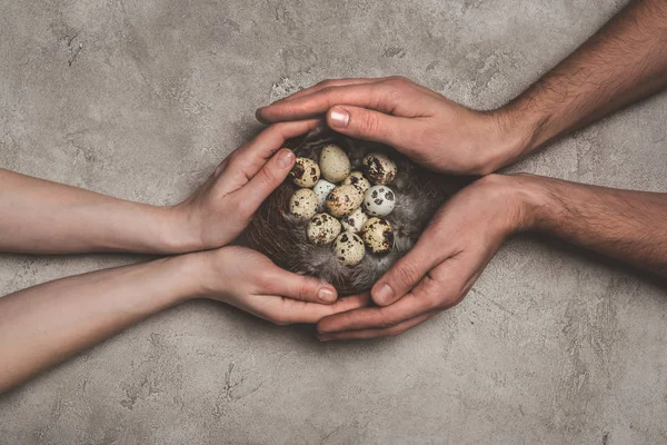 Abgeschnittene Ansicht eines Paares, das ein Nest mit Wachteleiern auf Betonfläche hält — Stockfoto