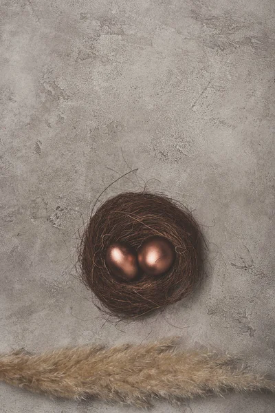 Верхний вид золотых пасхальных яиц в гнезде на бетонной поверхности с копировальным пространством — стоковое фото