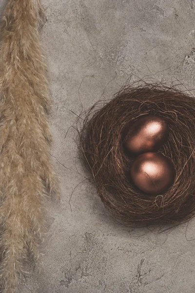 Vista superior de dois ovos de páscoa dourada no ninho na superfície de concreto — Fotografia de Stock