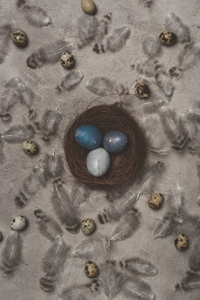 Vue de dessus des œufs de Pâques peints dans le nid sur une surface en béton avec des plumes et des œufs de caille — Photo de stock