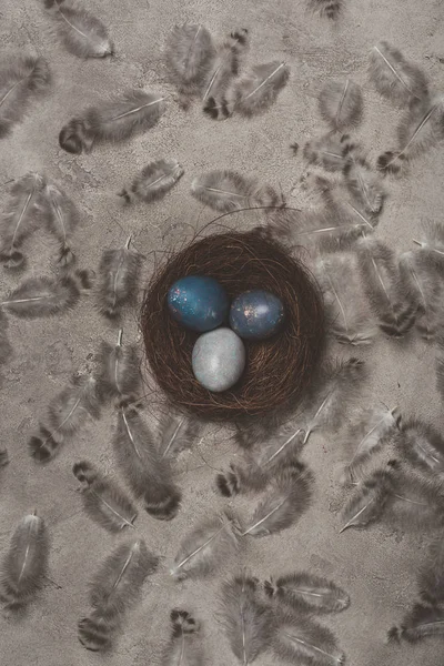 Top view of easter eggs in nest on concrete surface with feathers — Stock Photo