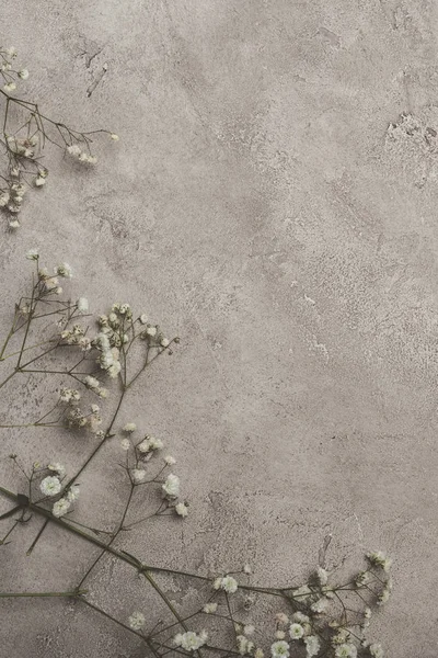 Vue de dessus des fleurs blanches sur la surface en béton avec espace de copie — Photo de stock