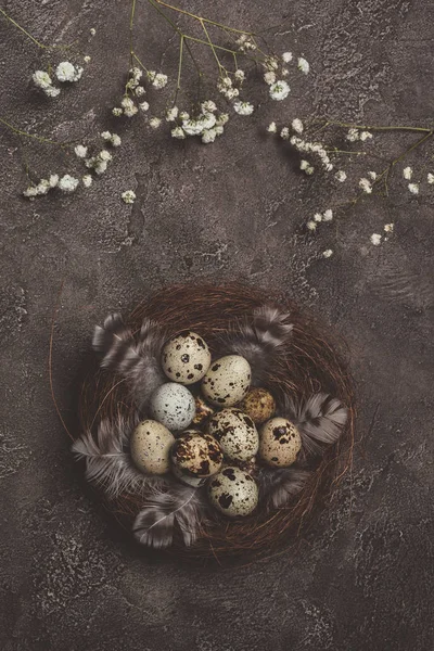 Top view of quail eggs with feathers in nest on table with white flowers, decorations for Easter — Stock Photo