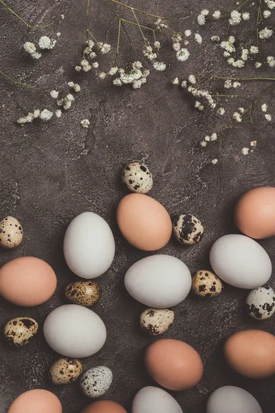 Top view of quail and chicken eggs with flowers on table, decorations for Easter — Stock Photo