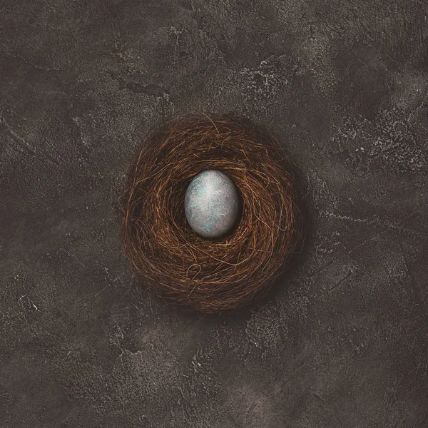 Top view of nest with painted easter egg on concrete table — Stock Photo