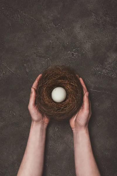 Cropped view of man holding nest with white egg — Stock Photo