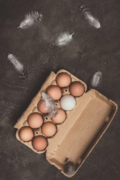 Top view of chicken eggs in cardboard tray with feathers — Stock Photo
