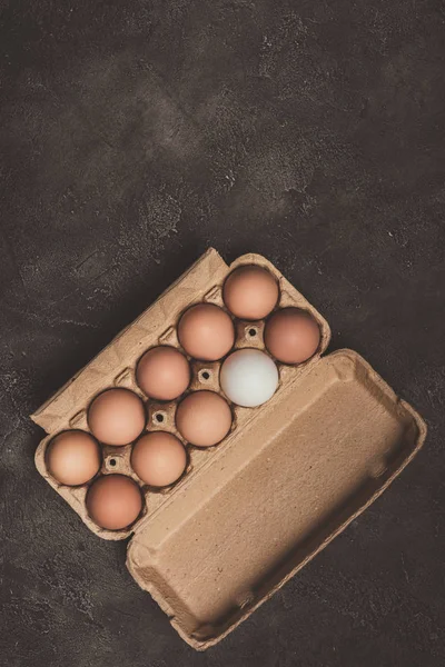 Vista superior de huevos de pollo en bandeja de cartón sobre superficie de hormigón - foto de stock