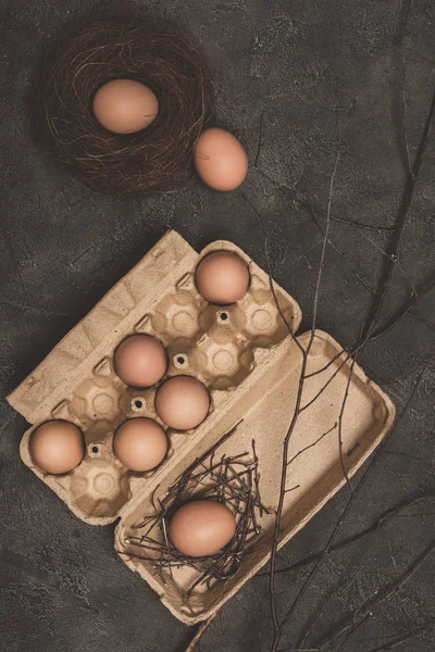 Vista superior de huevos de pollo en bandeja de cartón y nido con ramas en superficie de hormigón - foto de stock