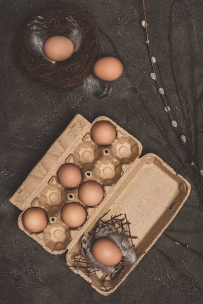 Vue du dessus des œufs de poulet dans un plateau en carton et un nid avec des branches de saule et des plumes pour Pâques — Photo de stock