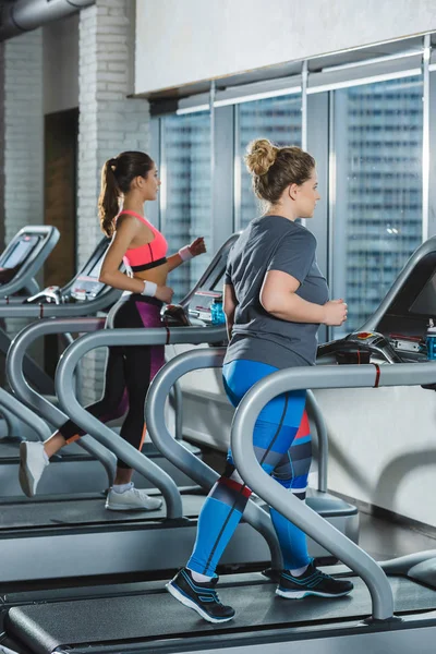 Entrenamiento de las mujeres en cintas de correr en el gimnasio - foto de stock