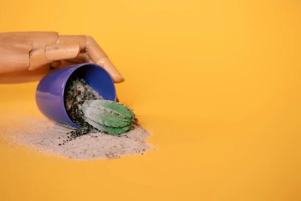 Mano de maniquí y cactus en maceta azul sobre amarillo - foto de stock