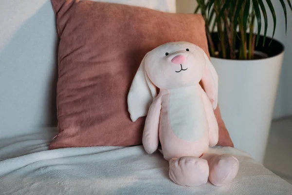 Close up view of pink childish toy on sofa — Stock Photo