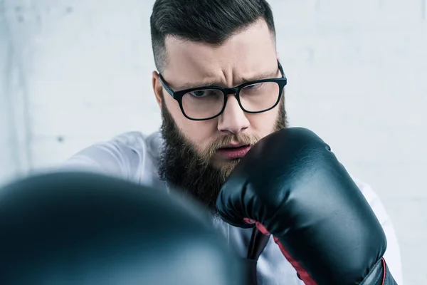 La concentration sélective de l'homme d'affaires concentré dans les gants de boxe — Photo de stock