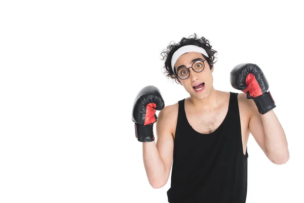 Funny boxer — Stock Photo